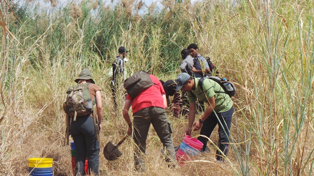 Picture 1 2 Field school