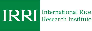 IRRI has more general information about rodent management, field experts and links to many downloadable publications